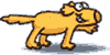 Dog pointing